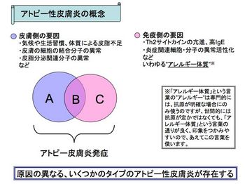 アトピー概念図1-1.jpg